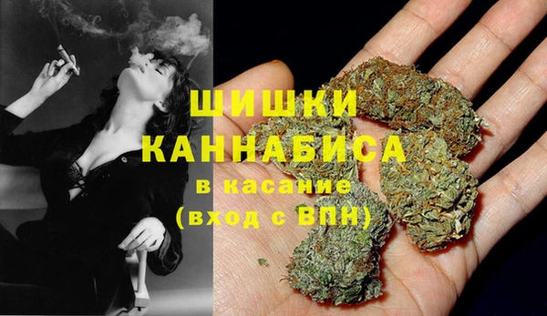 ГАЛЛЮЦИНОГЕННЫЕ ГРИБЫ Алексеевка