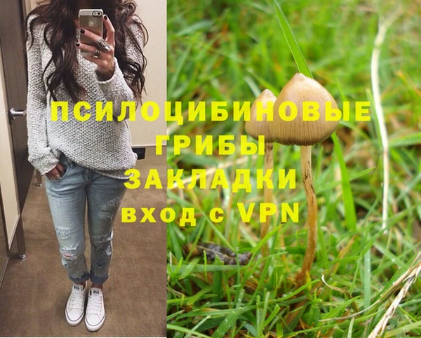 ГАЛЛЮЦИНОГЕННЫЕ ГРИБЫ Алексеевка