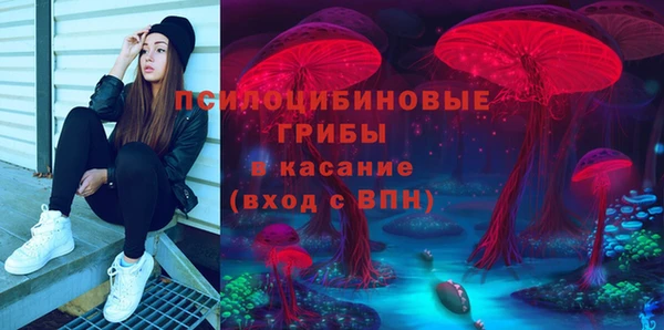 метадон Алексин