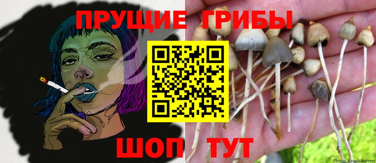 Галлюциногенные грибы MAGIC MUSHROOMS Темрюк