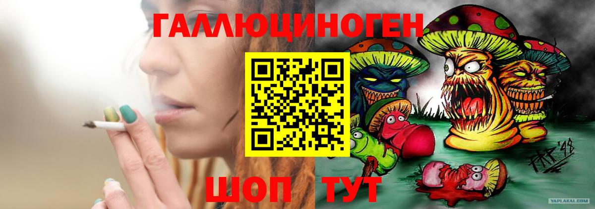 Темрюк  Галлюциногенные грибы прущие грибы  Вход с VPN 
